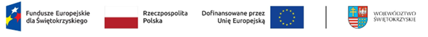 Logo dofinansowania Unijnego.